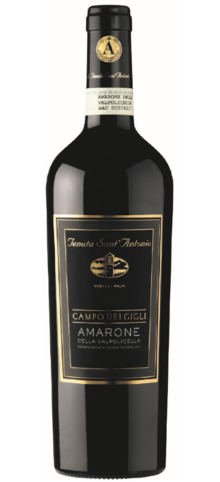  - Amarone Della Valpolicella Campo Dei Gigli - 2012