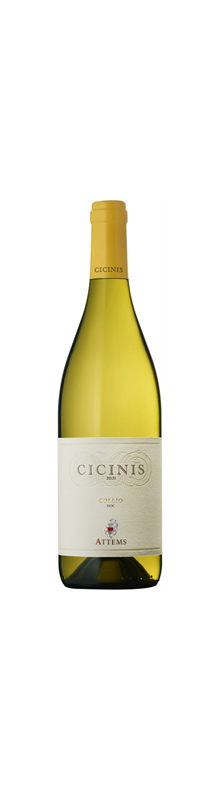 Cicinis 2022