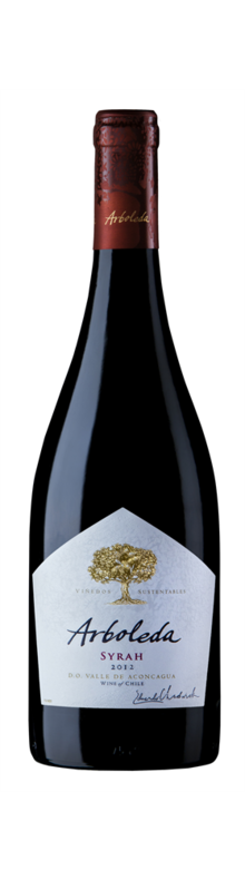 Syrah Valle del Aconcagua  2021