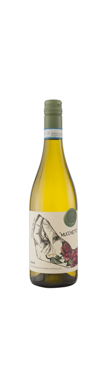 Mucchietto Soave 2021
