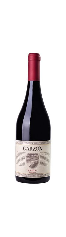 Garzon Marselan Reserva 2021