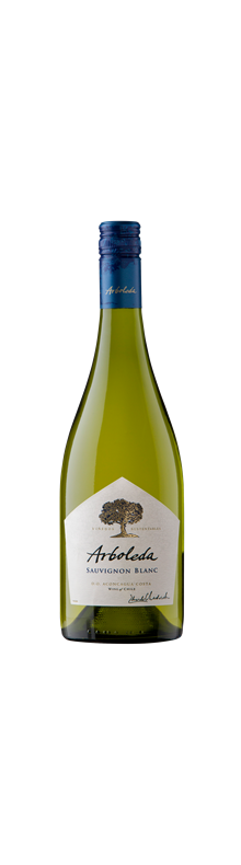 Sauvignon Blanc Aconcagua 2024