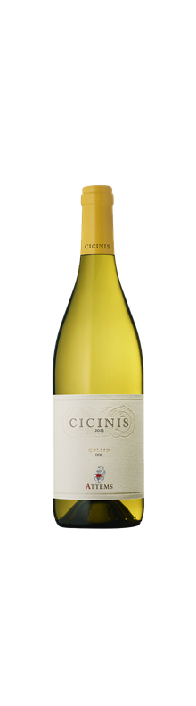Cicinis 2024