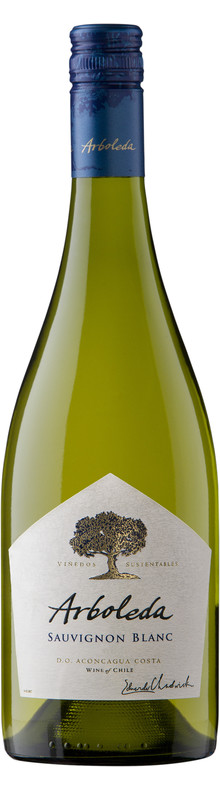 Sauvignon Blanc Aconcagua 2022
