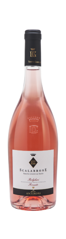 Tenuta Guado Al Tasso Scalabrone 2019