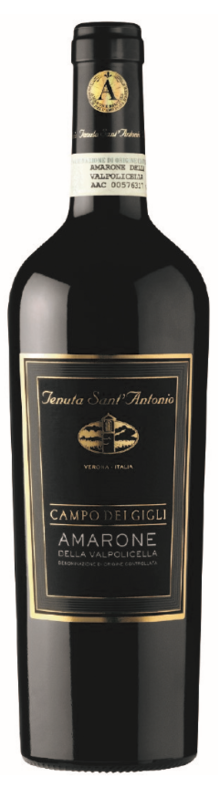  - Amarone Della Valpolicella Campo Dei Gigli - 2012